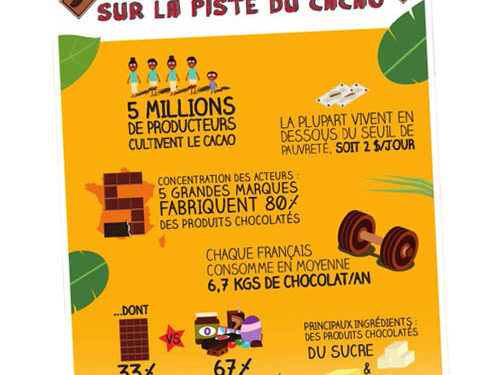 Lot de 10 Infographies “Sur la piste du cacao”