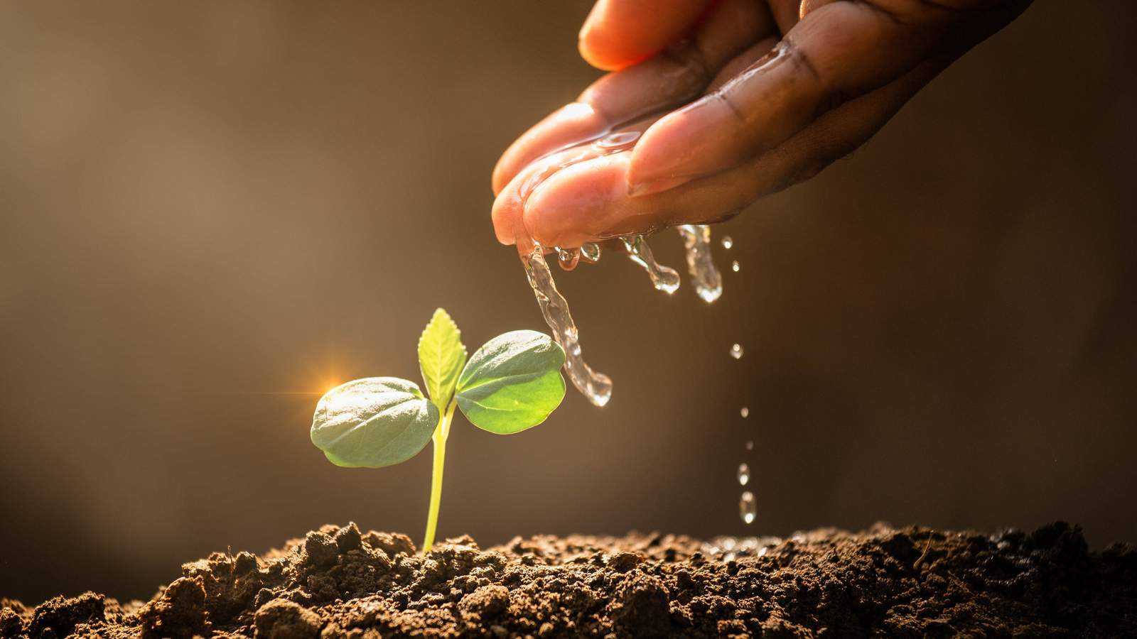 Les Journées du Patrimoine Agricole Bio et Equitable reviennent pour leur troisième édition 👩🏻‍🌾